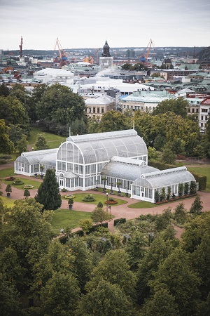 Image of the palm house of the Garden Society of Gothenburg